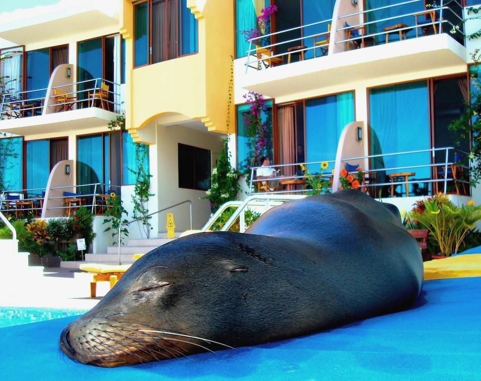 Hotel Solymar Puerto Ayora  Kültér fotó